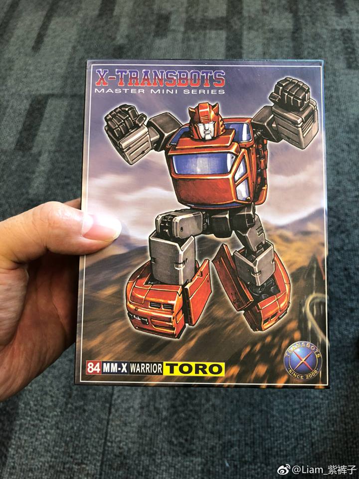 x transbots toro